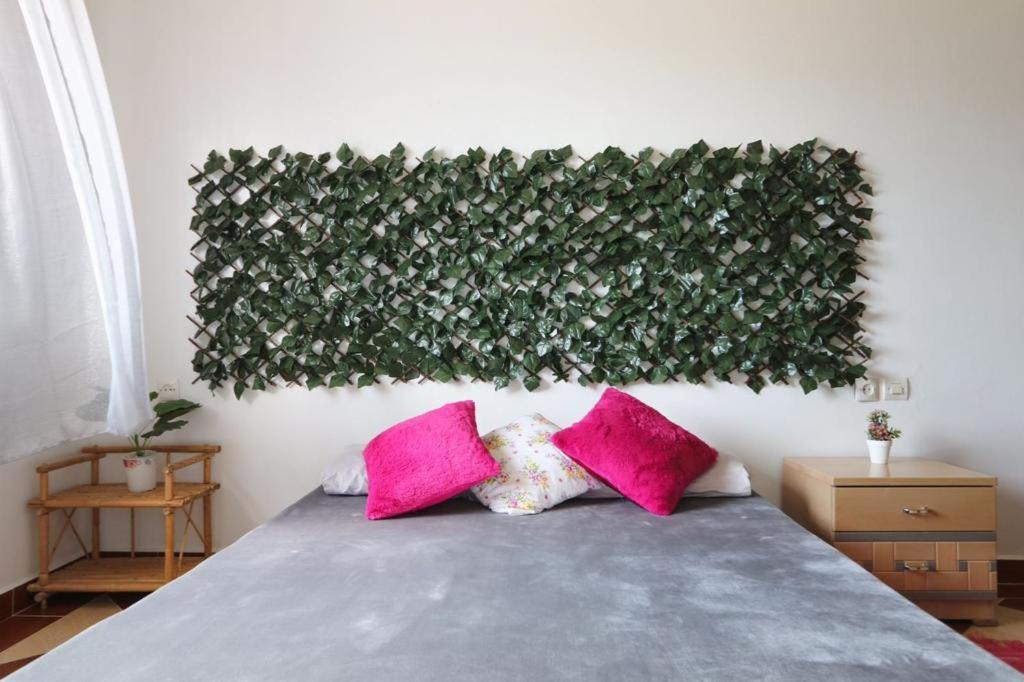 Appartement Lina 舍夫沙万 外观 照片